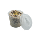 Spaghetti-Eis Haselnuss Deckel